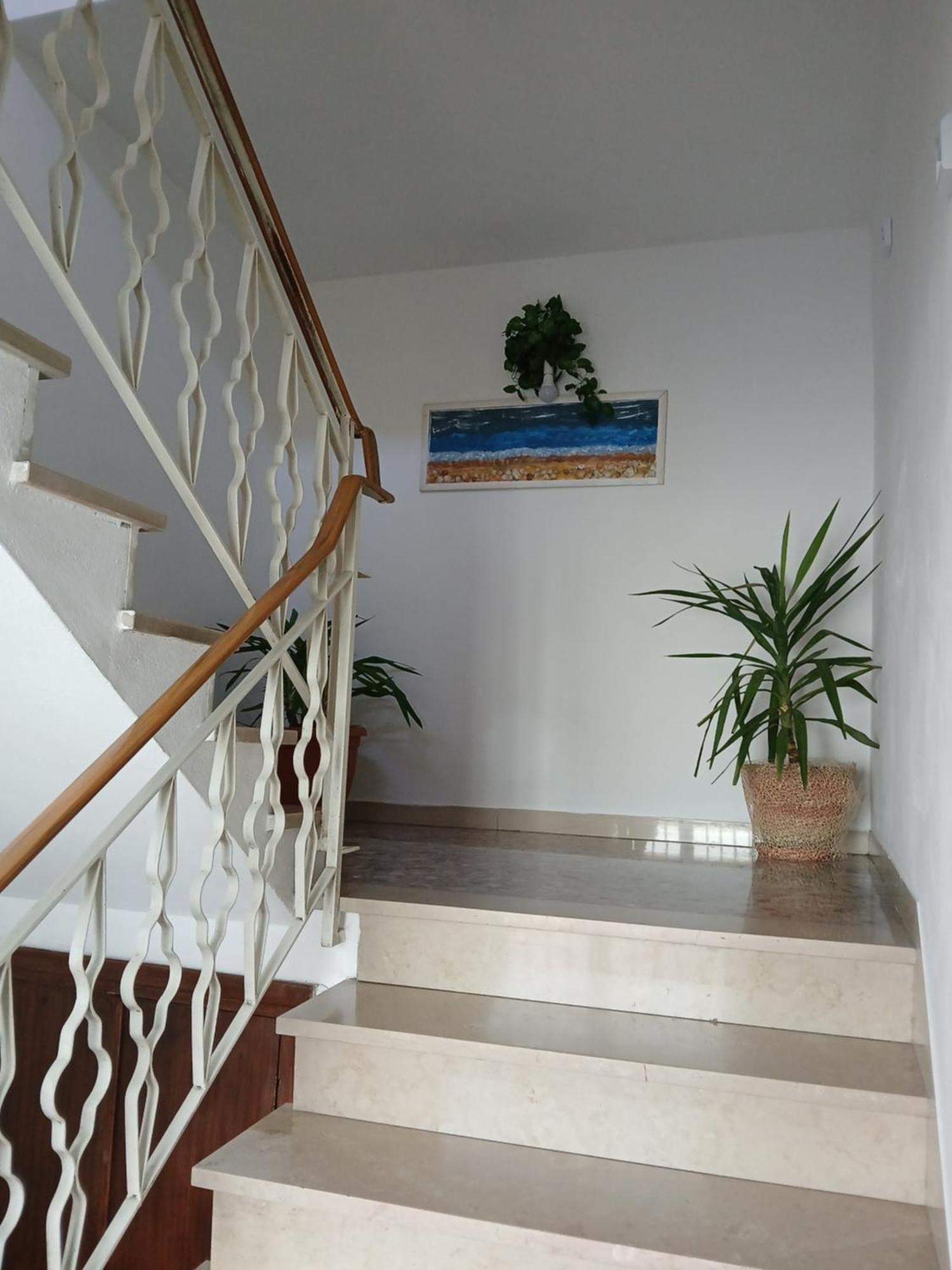 Casa Vacanza Le Due Stelle San Romano  外观 照片